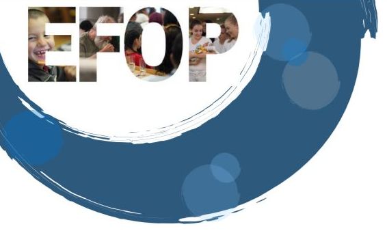EFOP konferencia